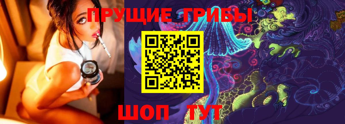 Галлюциногенные грибы прущие грибы  Вход с VPN  Реутов  Галлюциногенные грибы Psilocybine cubensis 