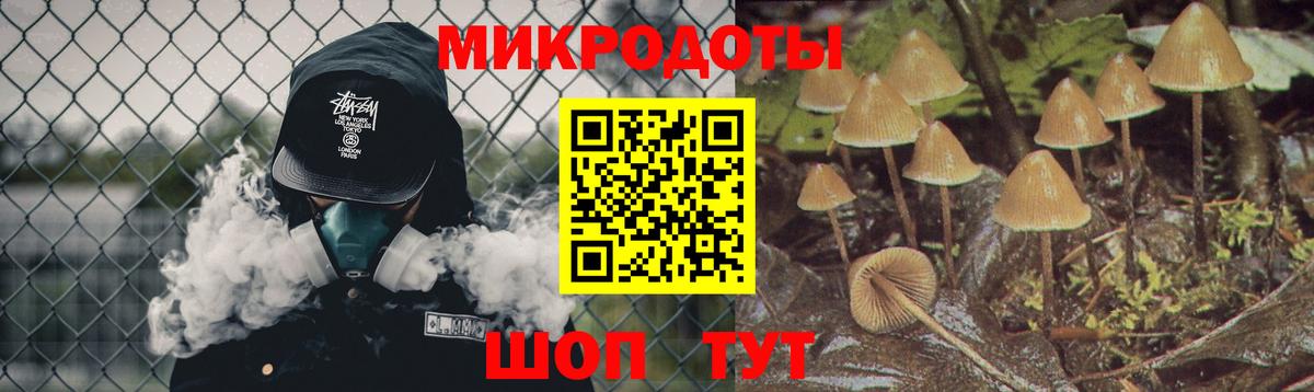 Галлюциногенные грибы Psilocybine cubensis Реутов